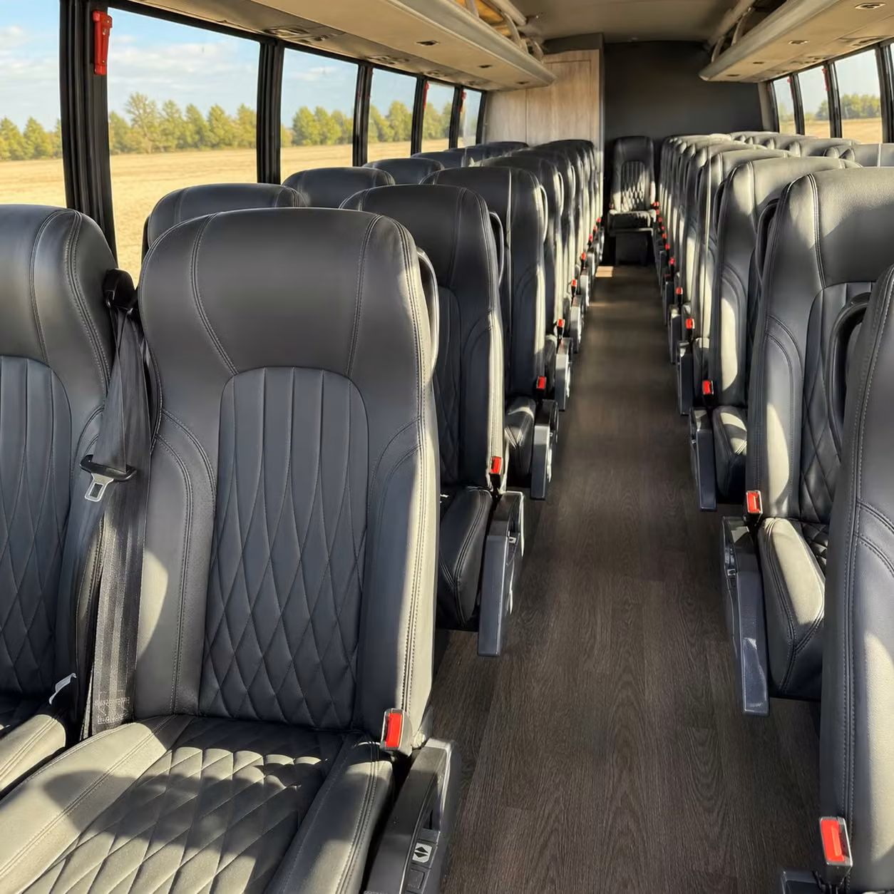 sandy field trip transportation